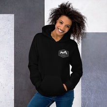 Load image into Gallery viewer, Dry. Mountain Logo Hoodie
